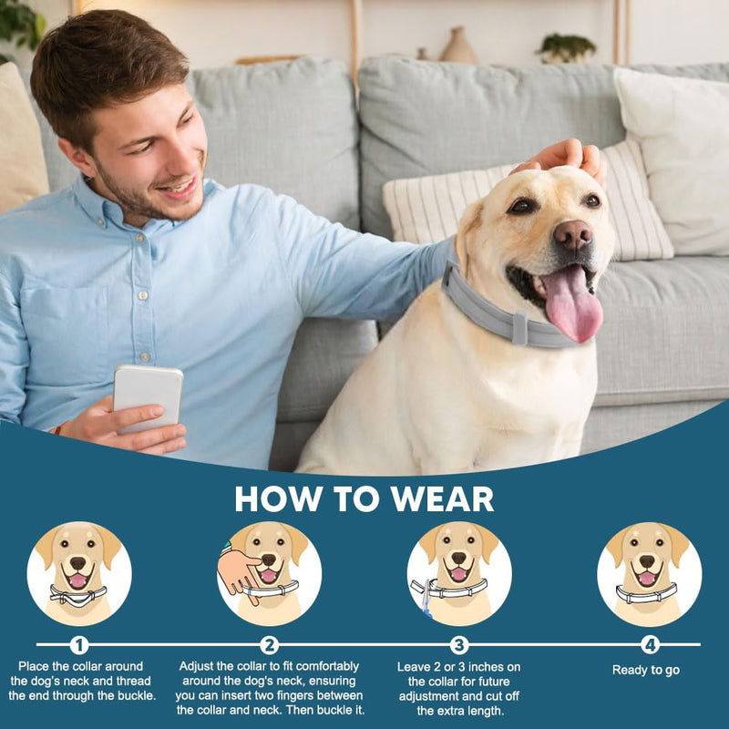 Flea & Tick Collar for Dogs, Flea Collar for Dog, Dog Collar for Large Dogs, Adjustable Dog Ticks Fleas Collars, 8 Months Prevention, Waterproof, Adjustable, 2-Pack - BeesActive Australia