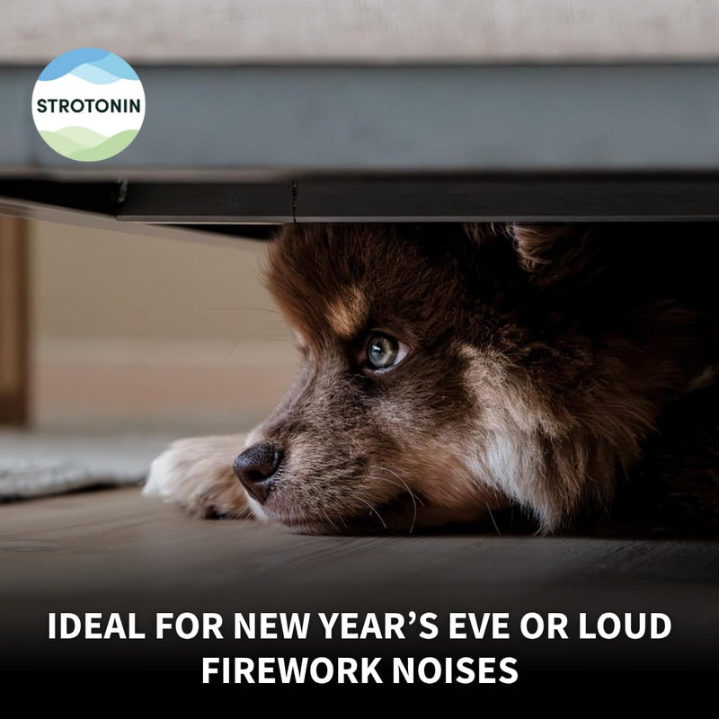 Dog Nerve Support | Natural Dog Calming Supplement for Anxiety, Fireworks, Travel & Everyday Stress | Alternative to Dog Calming Tablets & Rescue Drops | Made in Germany - 10 units