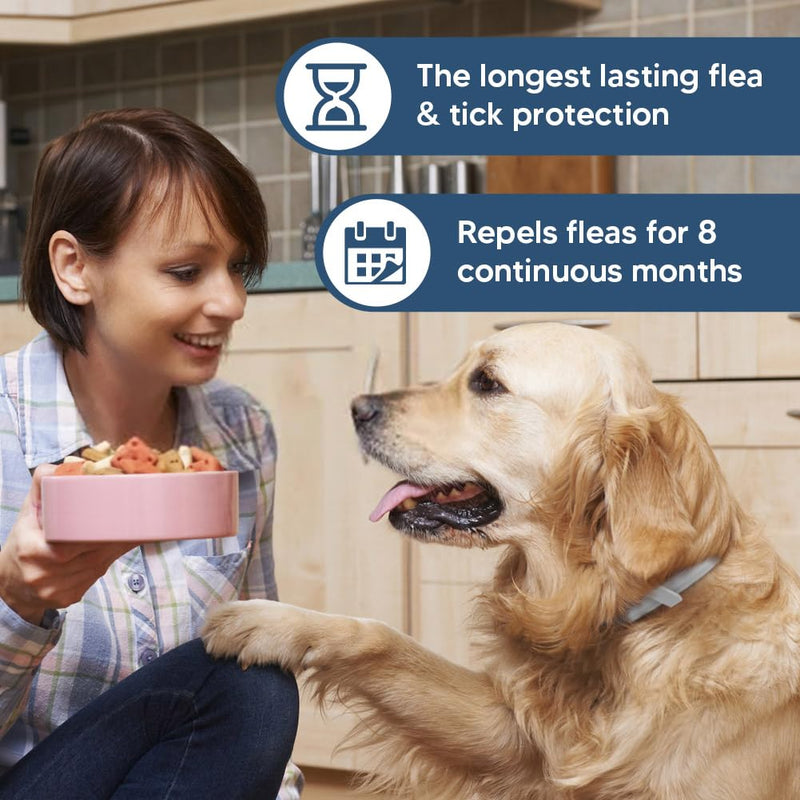 Dog Flea and Tick Collars, Natural Flea Repellent for Dogs, Tick Collars for Dogs, Dog Flea Collars, 8 Months Prevention, Suitable for Large Dogs, Medium Dogs, Small dogs-2P - BeesActive Australia