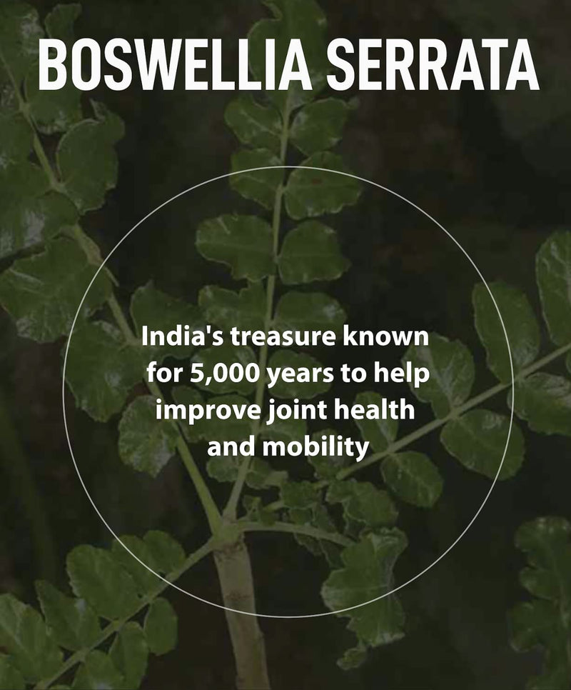 for Joints Health and Cartilage, Boswellia, 1,000mg of Boswellia and 71mg of AKBA & KBA per Serving (60 Tablets) Christmas Gifts - BeesActive Australia