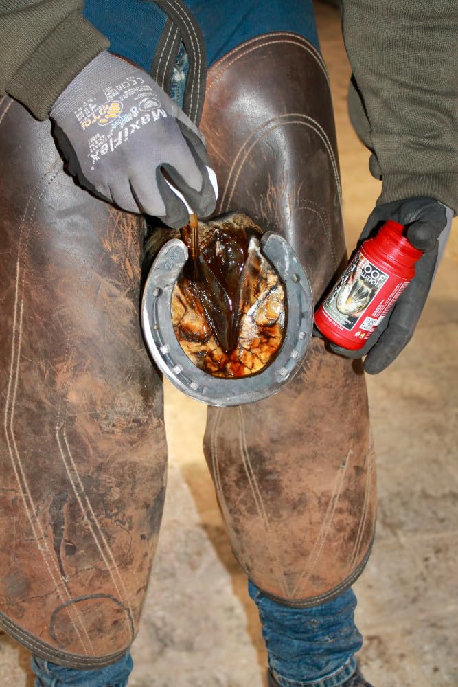 Kevin Bacon's Hoof Solution | 150g | Suitable for every type of horse | With integrated brush brush | Quick application | Can help reduce hoof problems 150 ml - BeesActive Australia