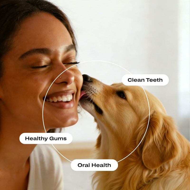 Bee Propolis Oral Spray for Dogs & Cats – 3.4 fl oz Gum Relief for Gingivitis, Reduce Plaque & Bad Breath, Post-Surgery Healing Support, Immune System Boost, Pet Dental Care
