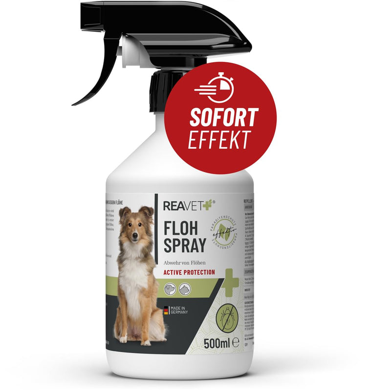 ReaVET flea spray for cats & dogs 500ml - immediate protection against fleas in case of infestation & preventive with long-term protection, flea treatment also for apartments, furniture I anti-flea spray flea spray 500ml