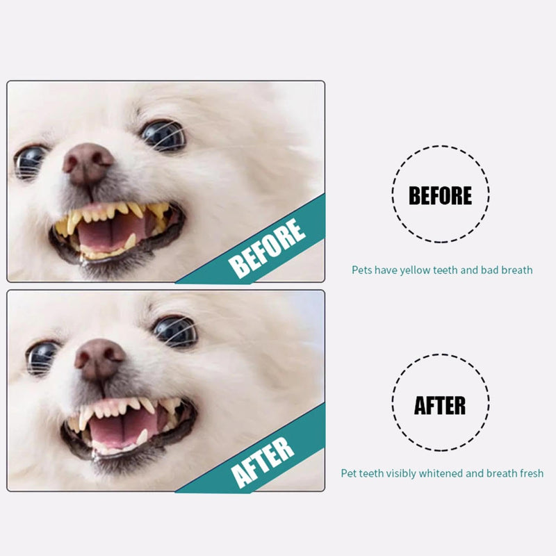 Natural Pet Dental Finger Wipes for Dogs & Cats, Teeth Cleaning Wipes for Fresh Breath - No Brushing Oral Care, 1 Box (50 Count)