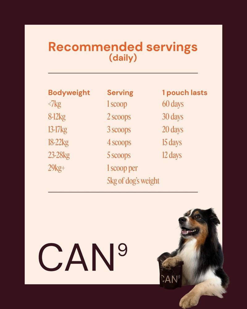 All-in-One Daily Supplement Powder for Dogs