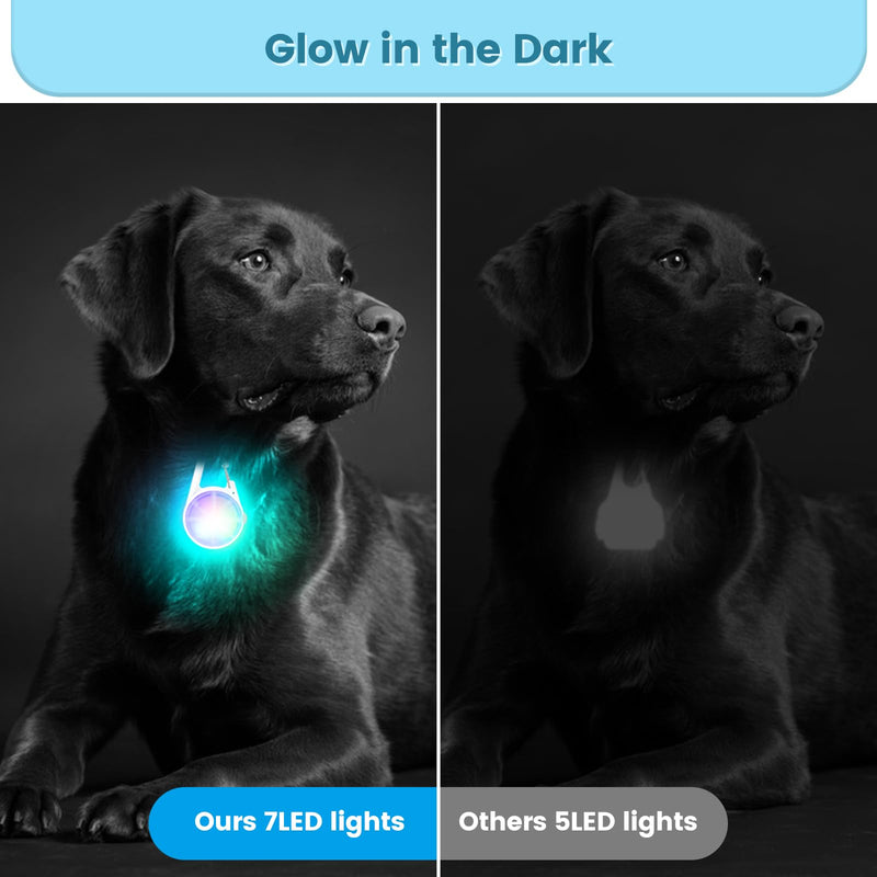 Dog Lights 2Pack LED Rechargeable Dog Collar Lights Clip on with RGB Color Pet Safety Lights Illuminate Illuminated Dog Harness Light for Night Hiking Camping White - BeesActive Australia