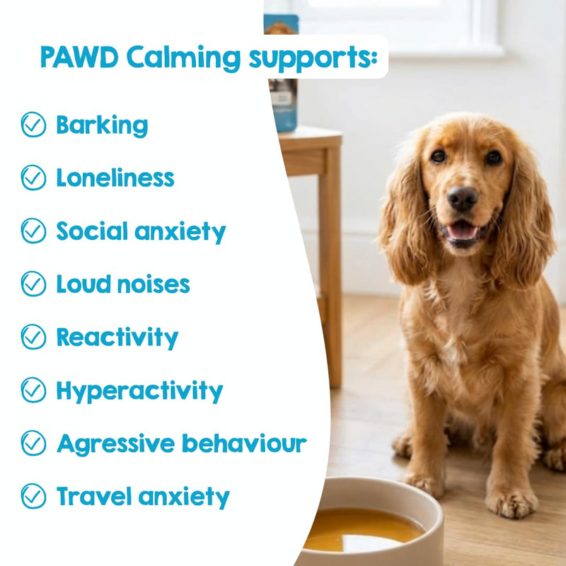 PAWD Calming Dog Powder Supplement – Fast-Acting Dog Anxiety Relief for Stress, Fireworks & Travel – Natural Calming Treats & Tablets Alternative, Vet Approved. Mix with Water. Dogs Under 15kg Calming Pouch - Dogs Under 15kg