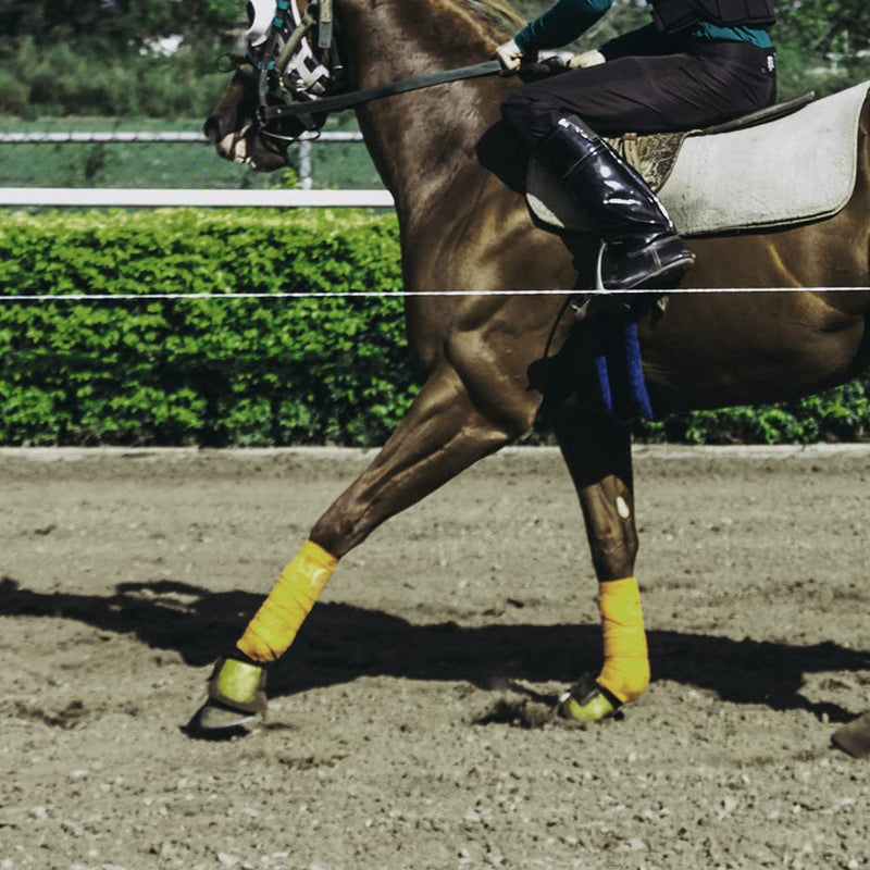 Horse Polo Wraps Soft Fleece Polo Wraps Equestrian Leg Bandage Wrap Set of 4 Packs Yellow - BeesActive Australia