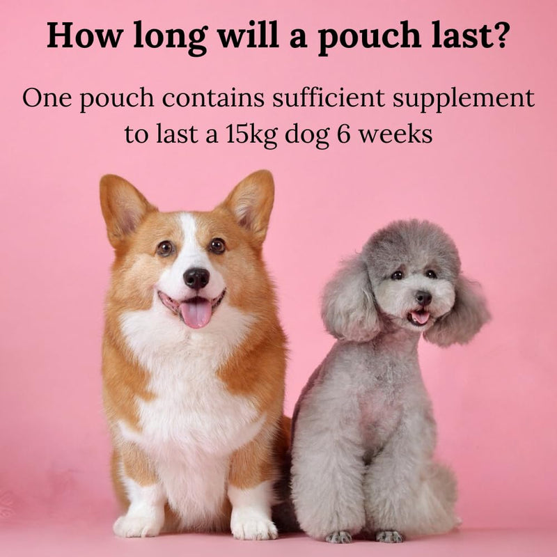 Dog Heart & Respiratory Supplement | DCM | MVD | CARDIAC HEALTH