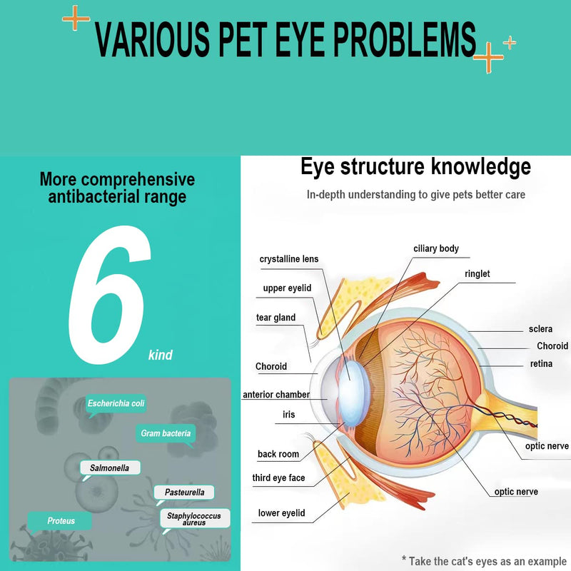 VEZE Eye Drops for Dogs, Dog Eye Drops & Cats, Gentle Dog Eye Infection Treatment, Relieves Dog Eye discomfort，Dog Eye Wash Relief Allergies Symptoms and Help Tear Stain Remover. - BeesActive Australia