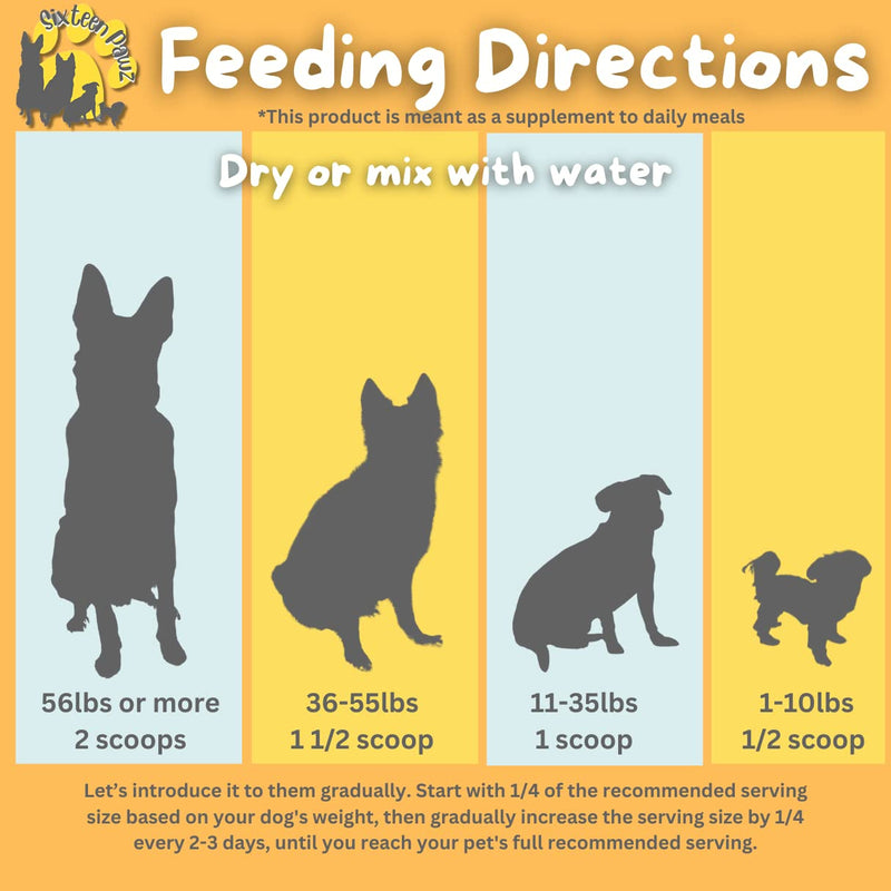 Probiotics, Prebiotics, & Digestive Enzymes for Dogs| Limited Ingredients| Organic |Digestive Support |Allergy Relief |Immune Support| Reduces Inflammation| Diarrhea & Gas Relief 65g - PawsPlanet Australia