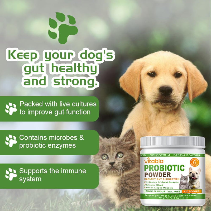 Probiotics For Dogs and Cats Powder - Natural Dog Treats For Gut Health, Itchy Skin Relief, Scooter Gland Treatment For dogs cats With Green Lipped Mussels, Psyllium Husk, Pumpkin, Probiotics Dog