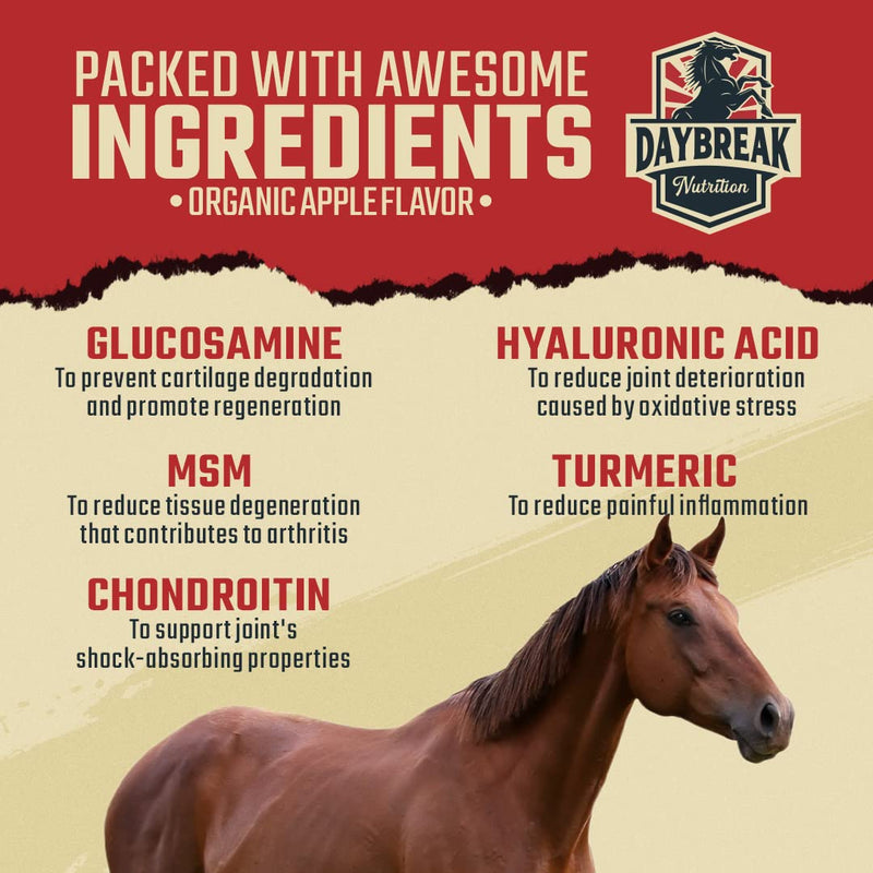 8 in 1 Maximum Strength Equine Joint Supplement - Joint Supplement for Horses - Glucosamine, MSM, Chondroitin, Turmeric, Hyaluronic Acid, Manganese, & Boswelia - 964g (30 Servings) 30 Servings - BeesActive Australia