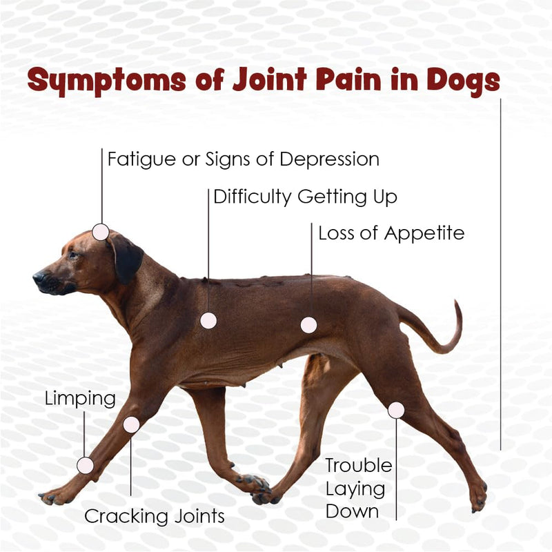 Double Strength Chewable Tablets for Dogs, Glucosamine, Chondroitin, Vitamins & Antioxidants, Hip & Joint Pain Relief & Support Supplement - Veterinarian Formulated, Made in USA, 120 Tablets 120 Count - BeesActive Australia