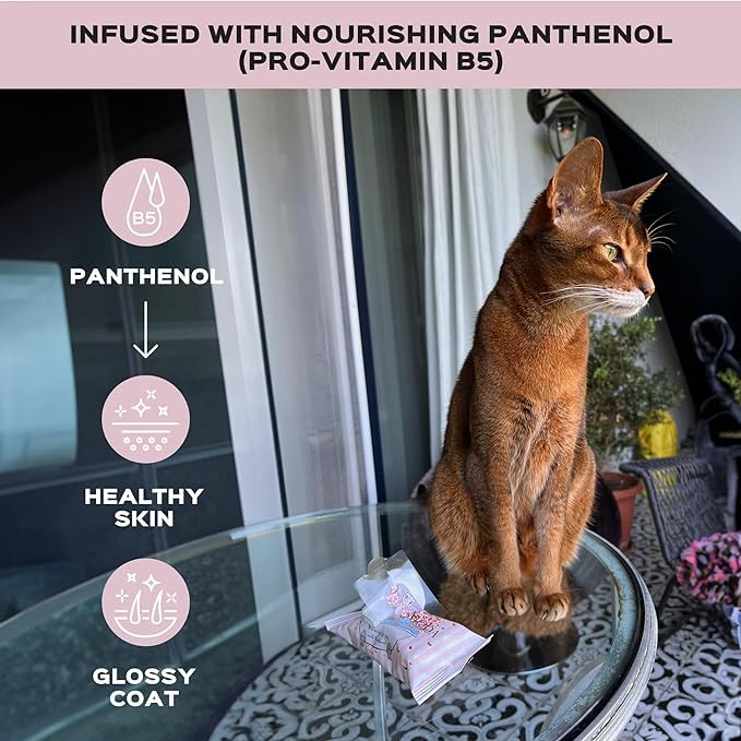 Wet Wipes with Panthenol for Sphynx and Shorthair Cats for Everyday use (3Pack/45Count) - PawsPlanet Australia
