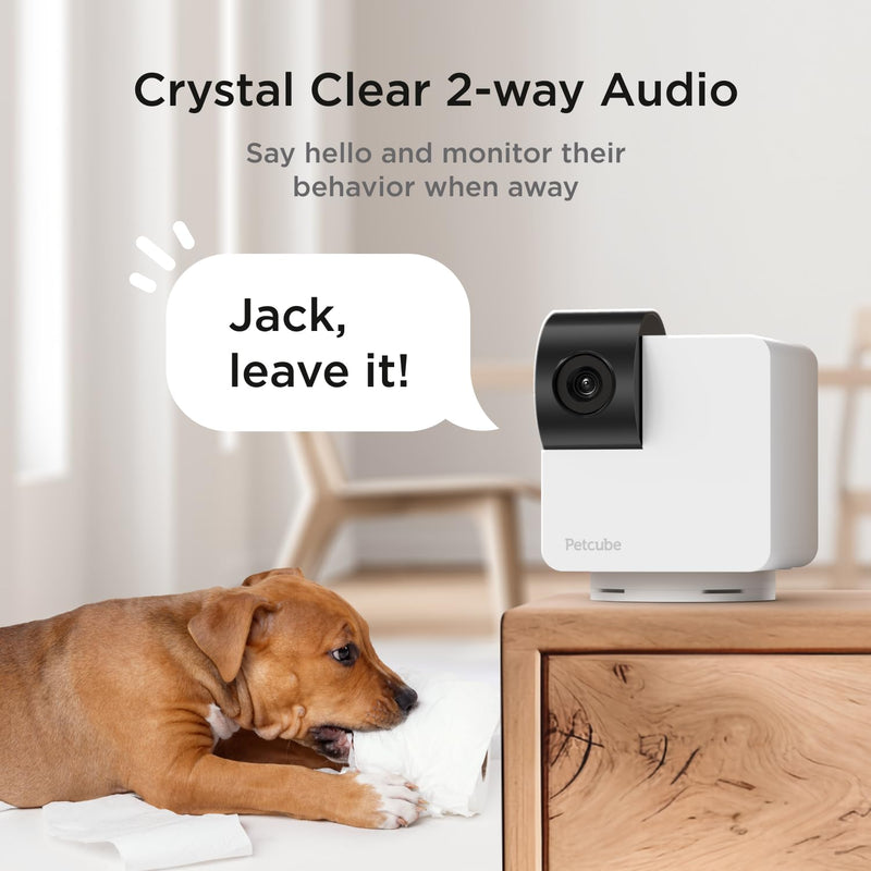 Petcube Cam 360 Camera Interactive WiFi Pet and Home Security Pan-Tilt Camera with Phone App, 1080p HD Video, 360° Rotation, Night Vision, AI Alerts Cam 360 – Camera Only - BeesActive Australia