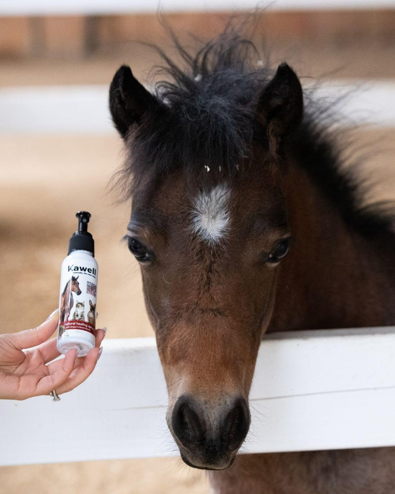Kawell USA Dragon's Blood Extract Natural Healing Spray for Animal Skin and Wound Care, Healing Ointment & Antiseptic Spray for Injuries, Scrapes, Wounds, Rashes, Bites, and Other Skin Irritations - BeesActive Australia