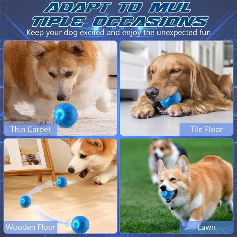 Shaky Ball Toy for Dogs, Shaking Dog Ball, Interactive Dog Ball, Vibrating Ball for Dogs, Automatic Moving Dog Toy Ball for Small Medium Large Dogs, USB Rechargeable (Blue) Blue - BeesActive Australia