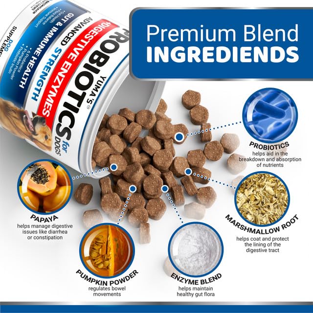 Probiotics for Dogs and Digestive Enzymes - 170 Dog Probiotics Chews - Dog Probiotic - Anti Diarrhea, Upset Stomach & Gas Relief, Canine Prebiotic - Pet Fiber Supplement - Bacon Flavor 170 Chews - BeesActive Australia