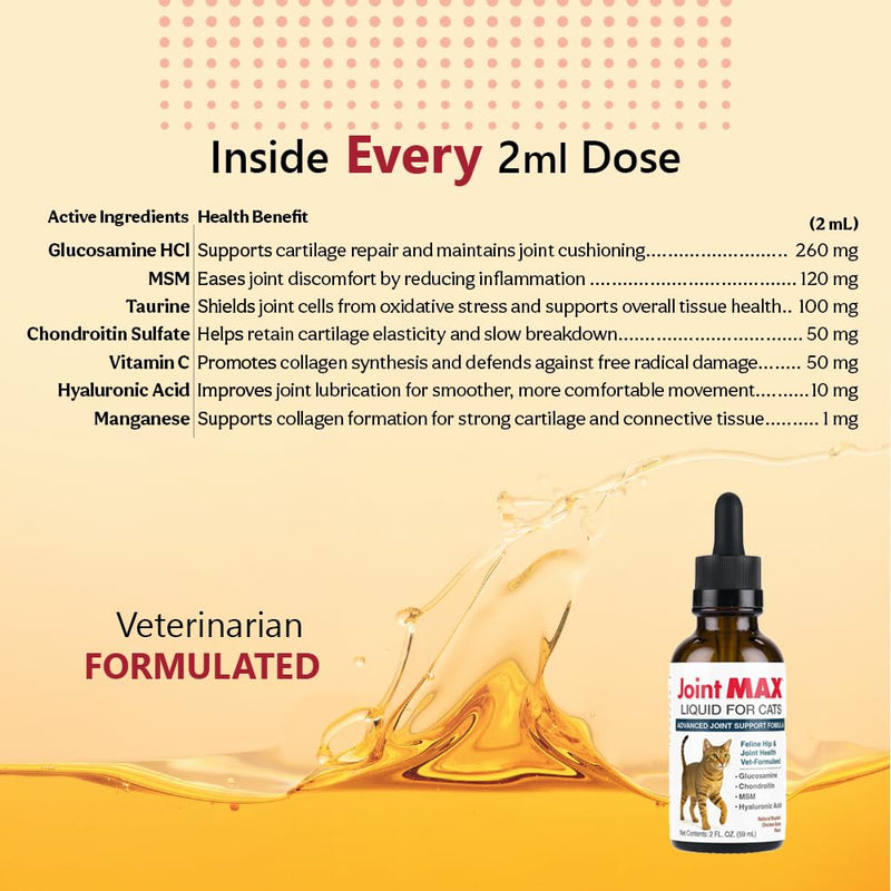 Liquid for Cats – Joint & Mobility Support Supplement with Glucosamine, MSM, Chondroitin, Omega-3 – Helps Ease Stiffness & Discomfort – 2 fl oz – Made in USA – NASC Certified