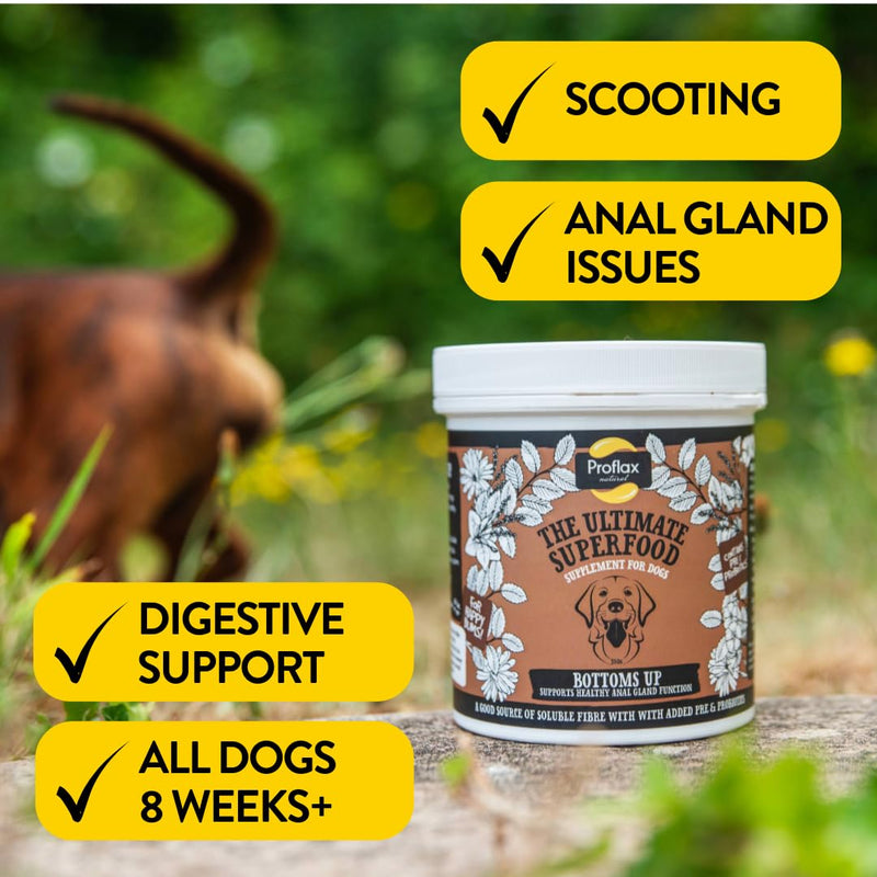 Proflax Bottoms Up Anal Gland & Digestive Care for Dogs – High Fibre Blend with Pre & Probiotics - 600g