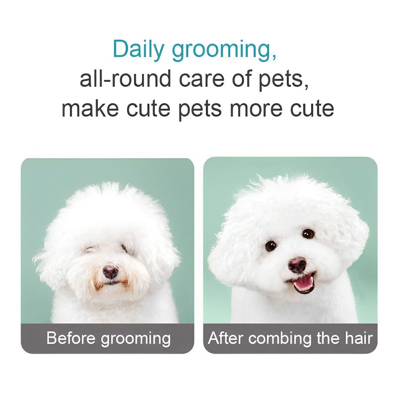 Flea Comb for Dogs and Cats, Pet Lice Comb Fine Tooth Grooming Tool for Removing Tear Stains, Fleas, Dandruff, Lice - BeesActive Australia