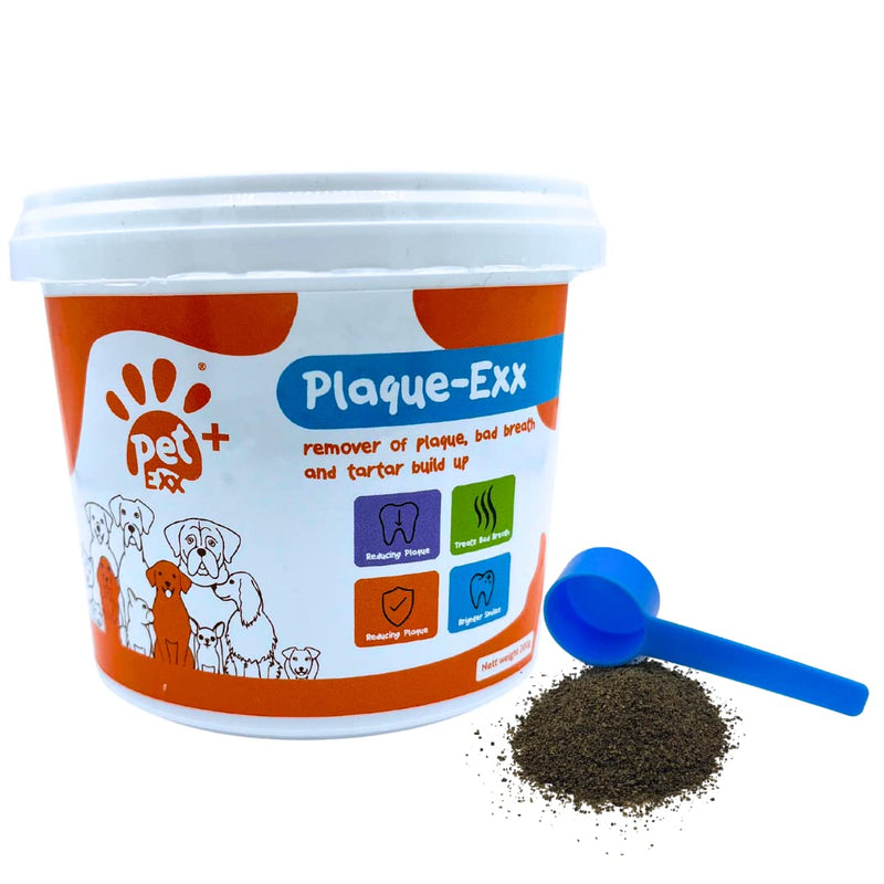 PlaqueExx Plaque and Tartar Remover for Dogs and Cats - Takes Plaque Off Your Pets Teeth PLUS No More Bad Breath - Teeth & Gum Dental Care Formula With Added Mint Powder (400g) 400g