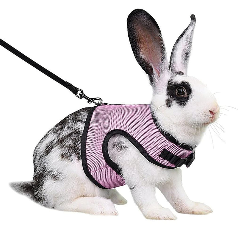 Guinea Pig Harness and Leash Set, Rat Harness and Leash Eescape Proof Walking Training for Small Animal Pets,Pink S Pink S Chest 4.7-6.2",Suitable Guinea Pig ,Rat - BeesActive Australia
