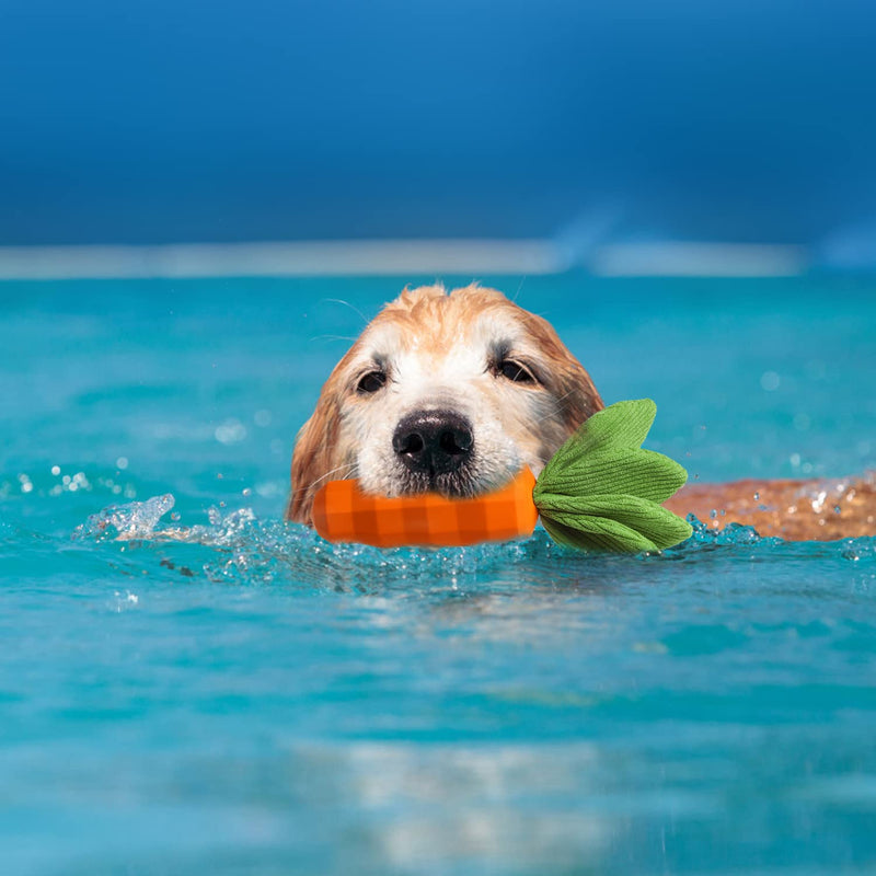 MewaJump Interactive Dog Toys, Durable Dog Chew Toy for Aggressive Chewers Rubber Pet Toy Dog Dental Chew for Small, Medium Breed Orange-Carrot - BeesActive Australia