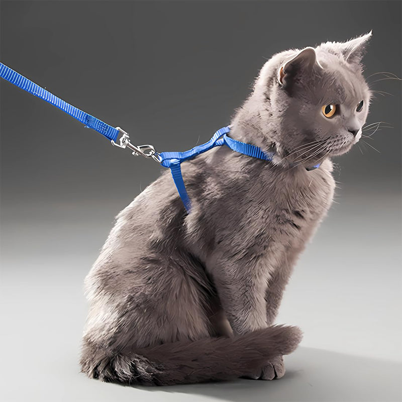 JSKWIKE 2 pieces adjustable nylon harness cat leash, harness cat leash kitten collar, soft cat harness with leash for kitten, puppy, rabbit, rabbit - BeesActive Australia