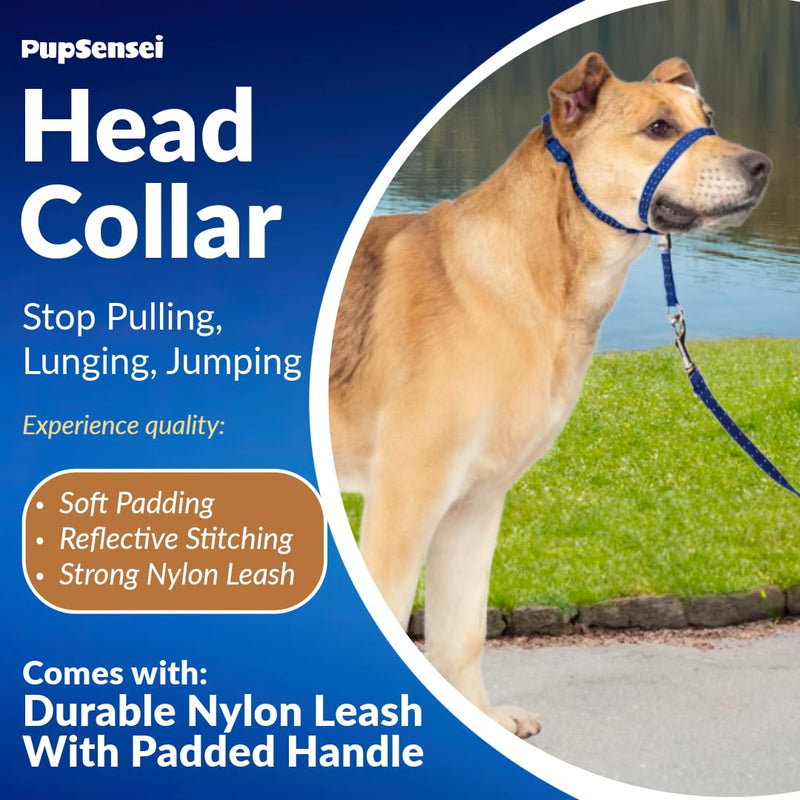 Headcollar for Dogs, Extra Soft Padded, Reflective, No Pull Dog Collar, Gentle Leader for Dogs with Durable Nylon Leash, Padded Handle - Navy Blue (X-Large) X-Large - BeesActive Australia