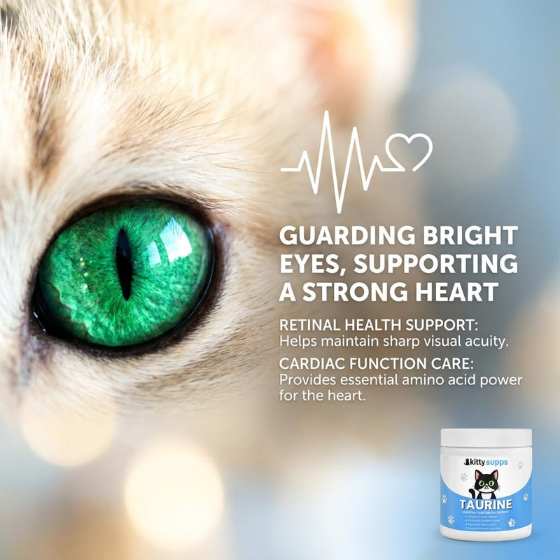 KittySupps Taurine for Cats, KittySupps Taurine Supplement - 99.9% Pure Taurine Supports Vitality & Coat Health, Easy to Mix in Food, with Dosing Spoon, 200g