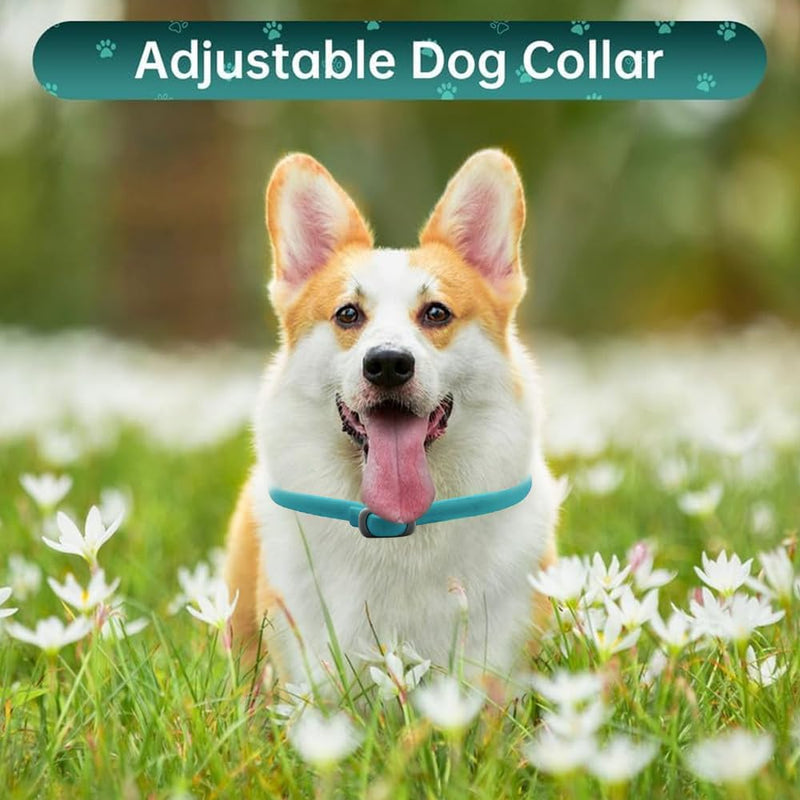 BKEPDY Dog Collar Pack of 2 Effective Protection Against Pests Waterproof Adjustable Flea and Tick Protection for Dogs All Sizes and Breeds (Blue-2) Blue-2 - BeesActive Australia