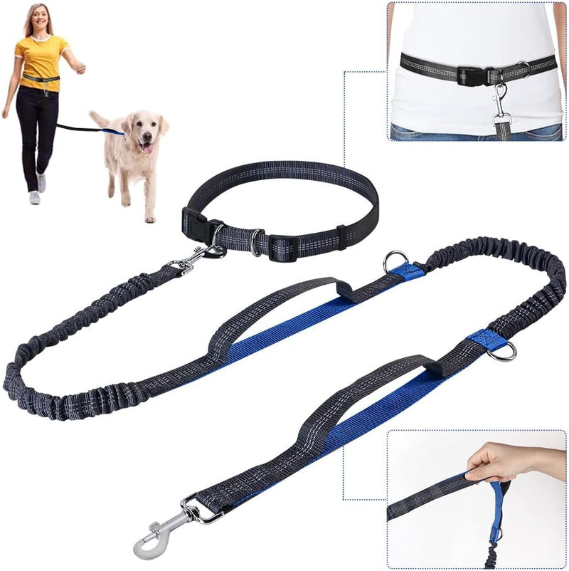 GoFortunePet Hand Free Dog Leash for Medium and Large Dog - Enjoy Pull Free Walks– Expandable Pouch Belt with Adjustable Leash Length for Hiking and Running – Heavy Duty and Reflective Safety Blue - BeesActive Australia
