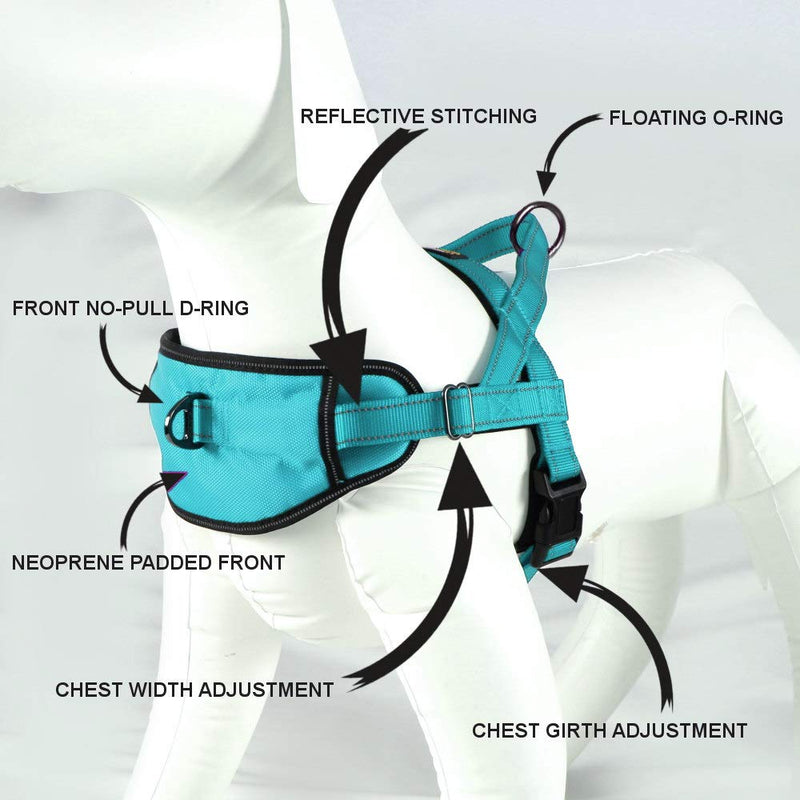 Max and Neo Passport Reflective Dog Harness - We Donate a Harness to a Dog Rescue for Every Harness Sold (Large (23"-30" Chest Girth), Teal) LARGE (23"-30" CHEST GIRTH) - BeesActive Australia