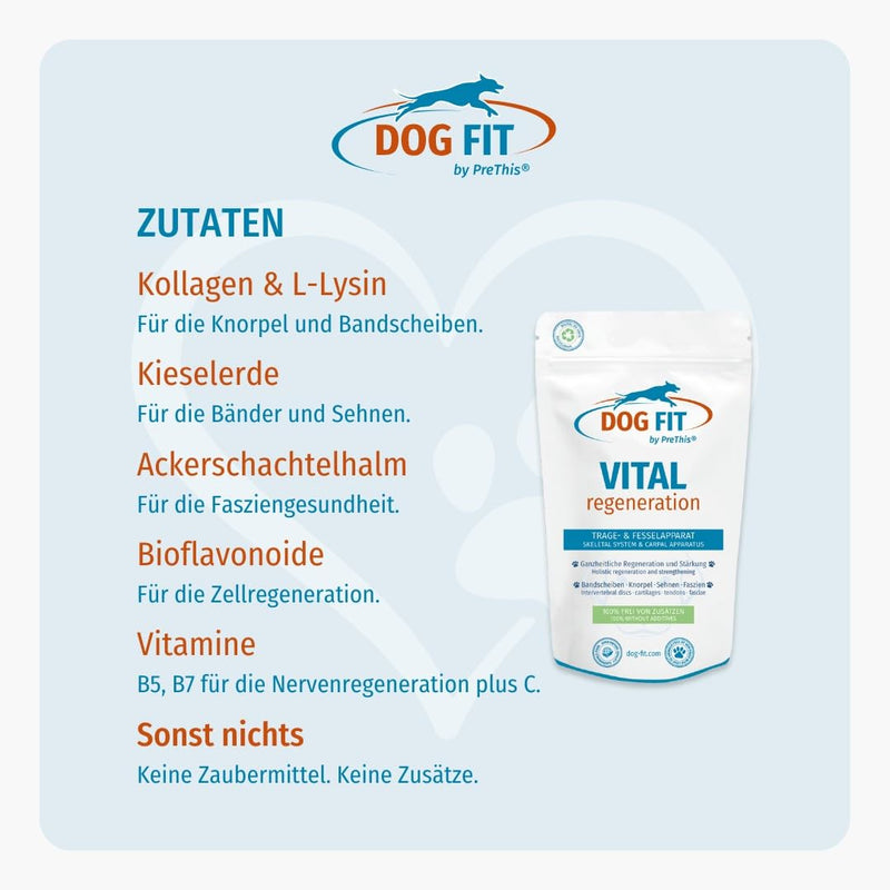 DOG FIT by PreThis® VITAL Regeneration for dogs I Strengthening the intervertebral discs, for herniated discs, weak tendons and ligaments, cartilage wear and after operations I Free from additives - BeesActive Australia