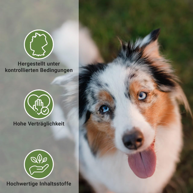 Animal Vita® Spot on for dogs [annual supply] Tick repellent for dogs, reliable tick protection with organic coconut oil and Margosa, 100% natural spot on against ticks, mites and fleas - BeesActive Australia