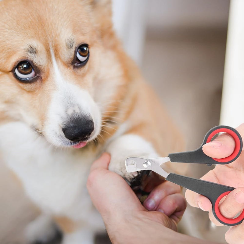 Parrot nail clippers, cat nail clippers, pet professional claw scissors, pet small animals, claw cutters, cat nail clippers, cat nail cutters, guinea pigs, birds, puppies, kittens, gerbils, rabbits - BeesActive Australia