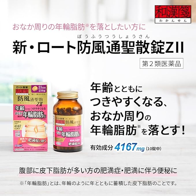 New Rohto Bofutsusho powdered tablets ZII 210 tablets - BeesActive Australia