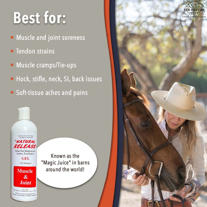 Natural Release Muscle Gel Treatment - Horse Liniment for Sore Muscles, Joint Pain, Tendon & Inflammation Relief - Easy to Use, Fast Acting, Alcohol & Menthol Free (16 oz) - BeesActive Australia