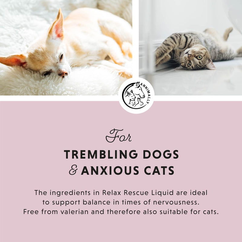 Annimally Relax Liquid for Dogs & Cats 250 ml - Daily Pet Supplement with L-Tryptophan, Moringa, Ashwagandha, Magnesium, Passion Flower, St John’s Wort & Hops, Made in Germany