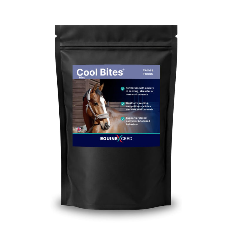 Equine Exceed Cool Bites™ - 10 Bites - Mint Calming Treats for horses