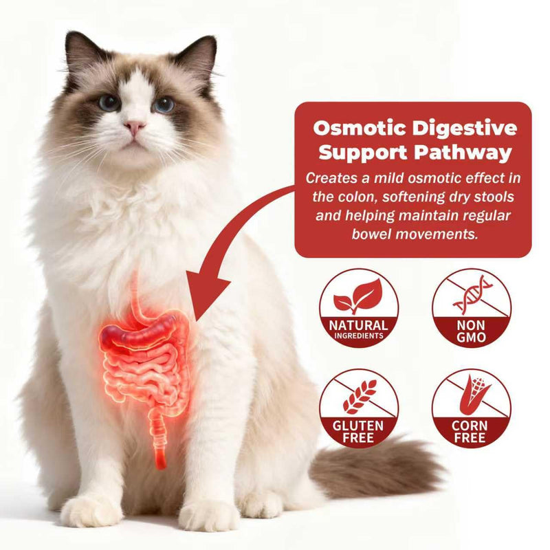 Constipation Relief for Dogs and Cats - Gentle Laxative and Stool Softener with Psyllium - Supports Healthy Bowel Movements, Hairball Relief, and Digestive Comfort - 2 fl oz (60 ml)