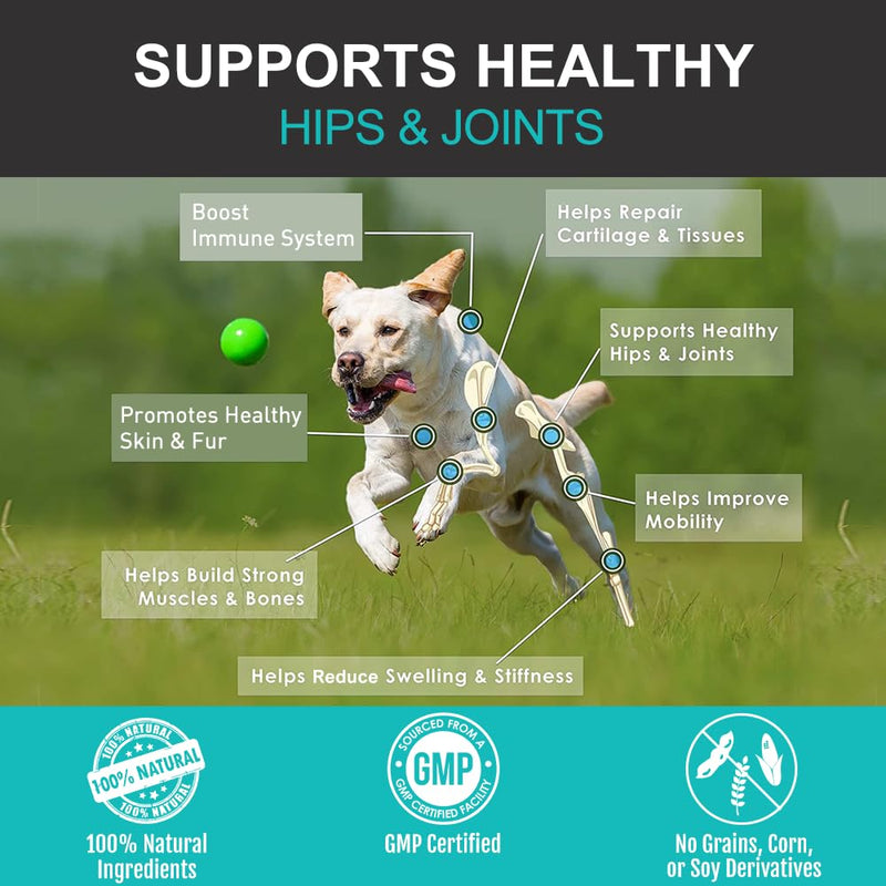 Hip and Joint Supplements For Dogs | Dog Joint Supplements to Reduce Stiffness and Improve Mobility with Organic Turmeric, Glucosamine, Chondroitin and Green Lipped Mussel For Dogs Beef