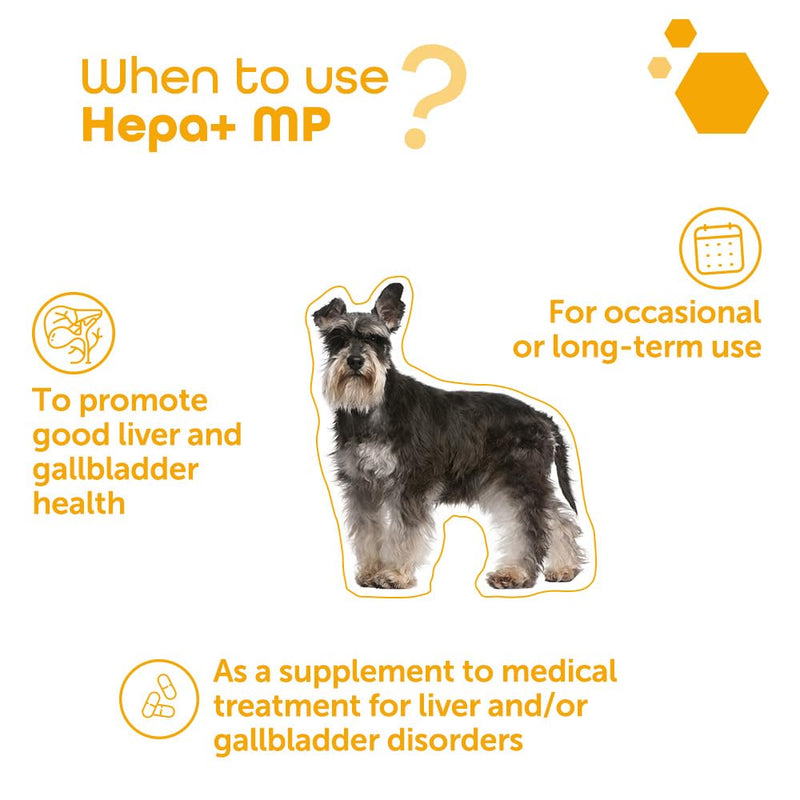 MP Labo Hepa+® MP for Dogs and Cats – 30 Sprinkle Capsules | Veterinary Grade Liver & Gall Bladder Support with SAMe Precursor Zinc-Methionine, Silymarin-Rich Milk Thistle & Fumitory