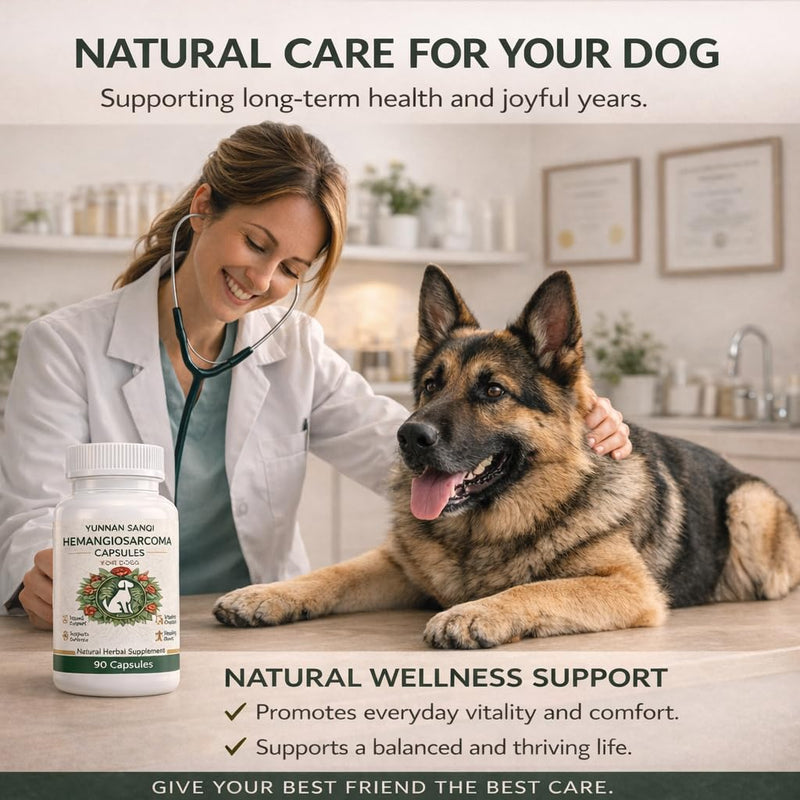 Yunnan Sanqi Capsules for Dogs - Pure Herbal Quick Stop Bleeding & Blood Support for Hemangiosarcoma, Hemoabdomen, Pericardial Effusion, Severe Bruising, Ulcer-Related Bleeding, 90 Capsules