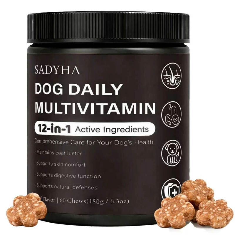 Daily Multivitamin Chews for Dogs, Itch & Skin Support with Salmon Oil, Folic Acid & Chondroitin, Supports Healthy Skin, Coat, Immunity & Digestion, 60 Count Beef Flavor (01) 1