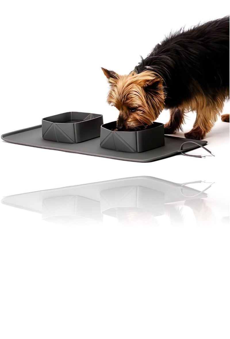 Generic Portable Pet Feeder, Silicone Bowls for Dog and Cat Travel, Collapsible Dish for Food and Water, 2-in-1 Solution with Adjustable Bow Ties