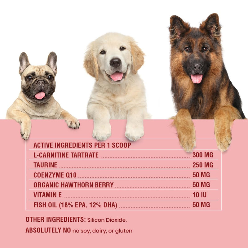 Taurine Supplement for Dogs – Heart Health & Circulation Support – Powder Formula with L-Carnitine, CoQ10 & Organic Hawthorn Berry – 240ct 240 Scoops
