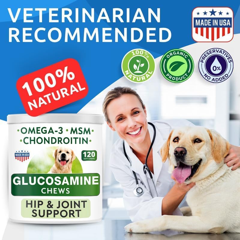BARK&SPARK Glucosamine Chondroitin Dog Hip & Joint Supplement - Joint Pain Relief - Hip & Joint Chews - Joint Support- Senior Doggie Vitamin Pill - 60 Chews Poulty